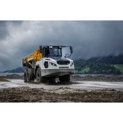  Knickgelenkte Muldenkipper Liebherr TA230 Litronic 12466276